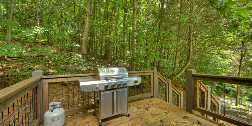 Blue Ridge Hothouse Creek Retreat Exterior