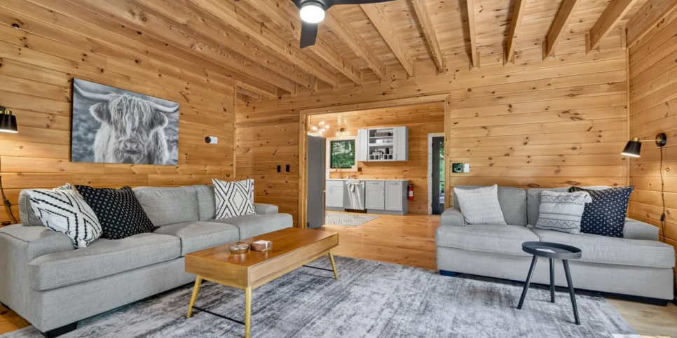 Blue Ridge Hothouse Creek Retreat Living Room
