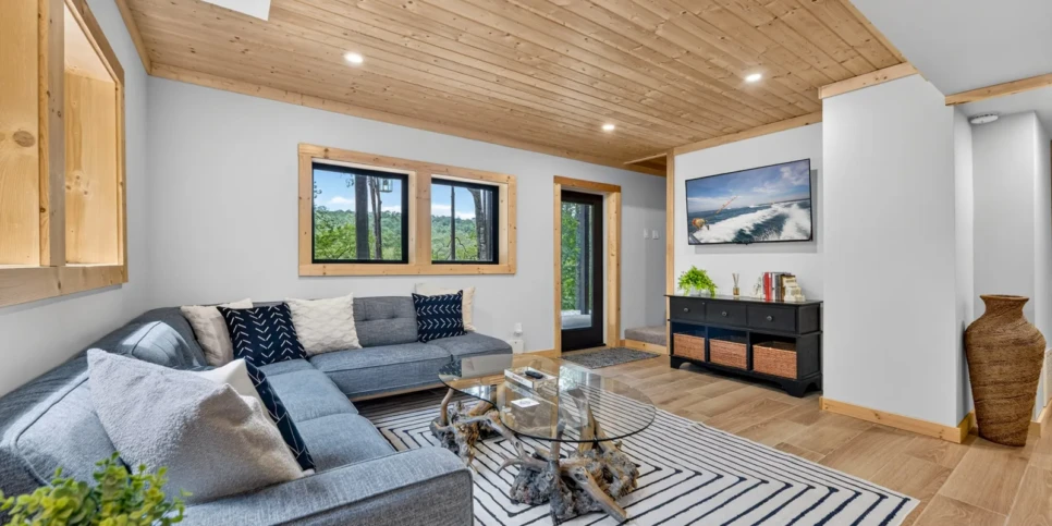 Blue Ridge Hothouse Creek Retreat Rec Room