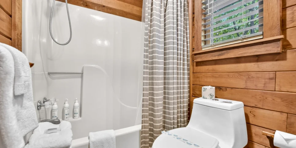 Blue Ridge Piney Mountain Perch Bathroom