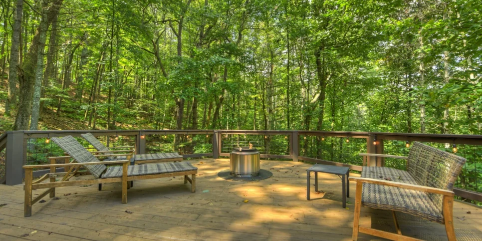 Blue Ridge Piney Mountain Perch Exterior