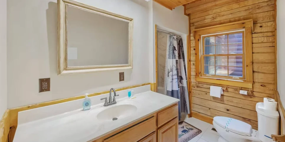 Ellijay - The Lodge - Temporary Photos